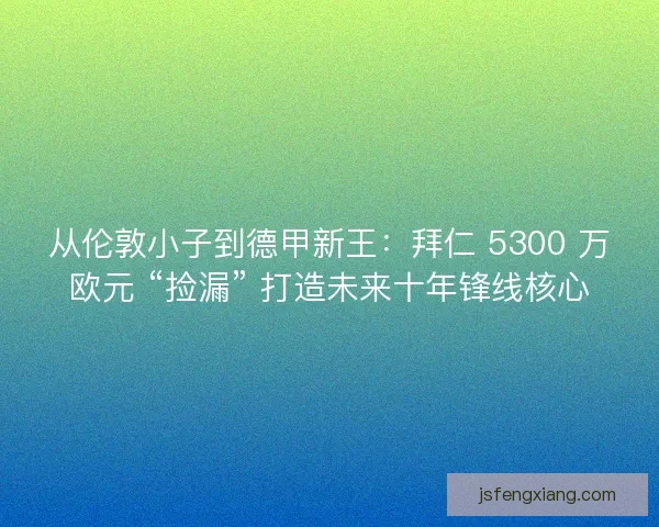 从伦敦小子到德甲新王：拜仁 5300 万欧元 “捡漏” 打造未来十年锋线核心